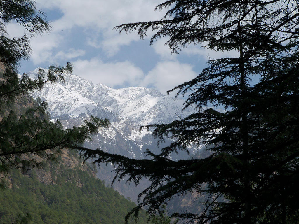 Parvati Kuteer Riverside Resort Kasol Εξωτερικό φωτογραφία