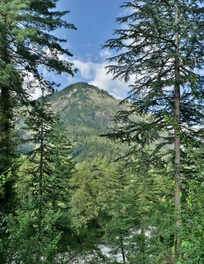 Parvati Kuteer Riverside Resort Kasol Εξωτερικό φωτογραφία